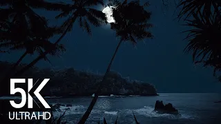 5K Tropical Beach Night - 8 HOURS of Soothing Nature Night Sounds for Relaxation and Sleep