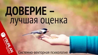 Доверие - лучшая оценка. Системно-векторная психология. Юрий Бурлан