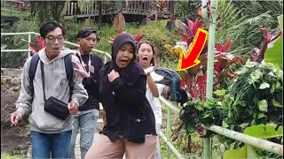 Ini yang di TikTok kan..? Bushman prank Kocak