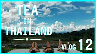 THAILAND VLOG 12: My first time to Pai, Thailand
