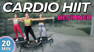 Trampoline Cardio HIIT  | Beginner Challenge |  DAY 6