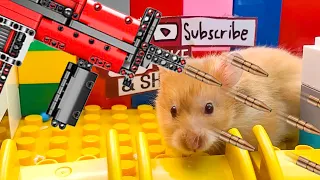 😱🐹 OBSTACLE COURSE Hamster Traps Lego Gun 😱 Hamster Escape Traps Cardboard & Lego