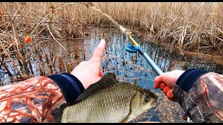 Не встигаю опускати мормишку. 🐟🐟🐟 Вони мене тут давно чекали. Поради підписникам. Боковий кивок.