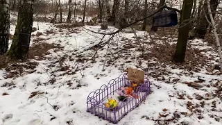 Кладбище домашних животных в Рыбновском районе