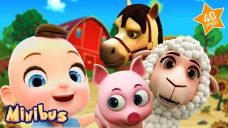 Old MacDonald Had a Farm + More Kids Songs & Nursery Rhymes | Minibus