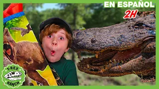 Caimanes chulos y reptiles increíbles en parque | Videos de dinosaurios y juguetes para niños