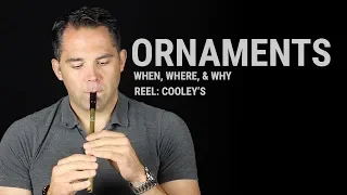 Tin Whistle Lesson - Ornaments: When, Where, & Why (Cooley's Reel)