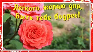 Лёгкого  понедельника! Удачной недели!