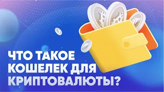 Что такое криптовалютный кошелек?