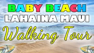 Lahaina Maui Baby Beach Walking Tour Front Street Hawaii Kids Beach Snorkeling Mala Wharf Harbor