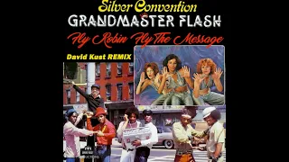 Silver Convention vs Grand Master Flash - Fly Robin Fly The Message (David Kust Remix)