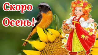 🌻С Добрым Утром!🌻 Скоро Осень! Музыка Сергей Чекалин! Музыкальная Открытка Пожелание!