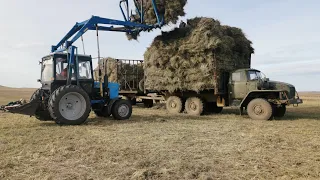 Продолжаем вывозить сено уже из 3 поля