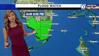 Local 10 News Weather: 6/16/21 Morning Edition