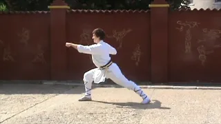 Shaolin tong bi quan