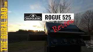 Napoleon Rogue 525 Review | Home Depot