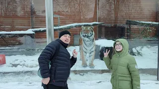 Зимняя прогулка по Ленинградскому зоопарку // Новогоднее представление Снегурочка