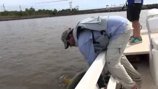 TOPWATER FISHING FOR BIG DORADOS 2 LA ZONA