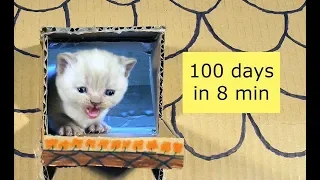 Kittens Time Lapse - 100 Days in 8 Minutes 4K