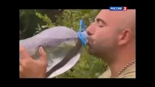 Как очистить воду с помощью ужа