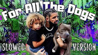 Drake - Fear Of Heights (For All The Dogs) Slowed Down + Reverb [Visualizer]