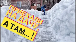 Дачные раскопки ! 🌨 Не просто, но красиво!☃️ ВЕСЕЛО ! 😁