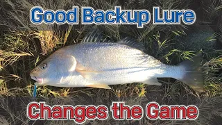 Good backup lure makes the different game/Major craft Jigpara 10g Iwash/Yellow fin croaker/메탈지그 신라면