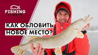 Как обловить новое место? | Где стоит судак? | Рыбалка на подъеме воды | ВихровLIFE