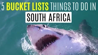 5 Bucket Lists Things to do in South Africa