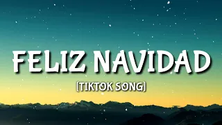 José Feliciano - Feliz Navidad (Lyrics) I wanna wish you a merry Christmas [TIKTOK SONG]