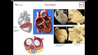 Medical Imaging Modalities -  Cardiac Imaging 1/3