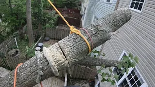 Tree Fell on a House. How to Remove tree without a crane.