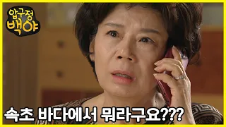 [압구정 백야] - 야야가 바다에 뛰어들었대요