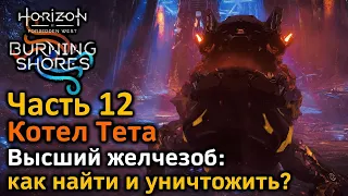 Horizon FW | Пылающие берега | Часть12 | Котел Тета | Бой с Высшим желчезобом | Как найти желчезобов