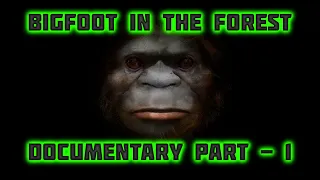 BIGFOOT IN THE FOREST  - PART - 1