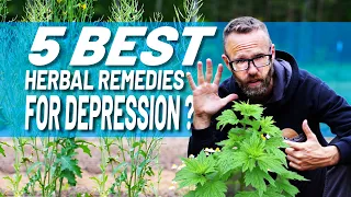 Herbal Remedies (Backed By Science) To Combat Depression