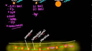 IV fluid tonicity: Isotonic solutions,  Hypotonic solutions,  and Hypertonic solutions