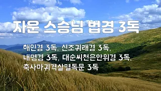 해인경,신조귀래경,내명경,대순씨천은안위경,축사마귀멸독문◑ 각 3독(三讀) 자운 스승님 [도원(道圓)대학당]