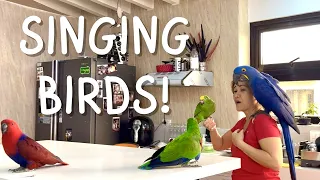 NAPAKADALDAL NG MGA PARROT! Lalo na si Yoshi! Nagsalita at kumanta ang ating birds! 🦜 | Murillo Bros