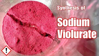 Sodium Violurate : Synthesis