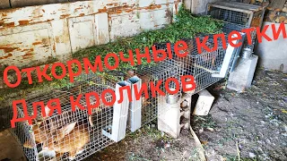 Откормочные клетки для кроликов//Кормление //Жизнь в деревне !!!