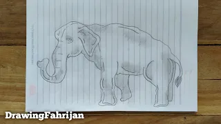 Drawing Elephant