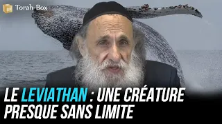 Le Leviathan : Une créature presque sans limite (Rav Ouri Lévy)