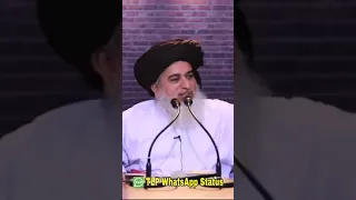 Tlp Status ||Urs Mubarak Hazrat Ameer Hamza رضی اللہ عنہ   || Hafiz Khadim Hussain Rizvi ||