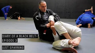 Roy Dean Sparring | Diary of a Black Belt | EP 3