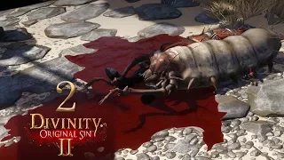 Shipwrecked - Let's Play Divinity: Original Sin 2 Co-op [Tactician] - 2