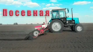 Сеем подсолнух 2019! МТЗ 892.