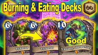 Burning & Eating Opponent's Decks All Day Long With Warlock! Showdown in the Badlands | Hearthstone