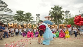 THE CAREBEAR PROPOSAL - Public Flash Mob Proposal Singapore - Andrew & Anna (Link in description)