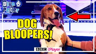 Henry the CUTE Dog BLOOPERS MONTAGE!